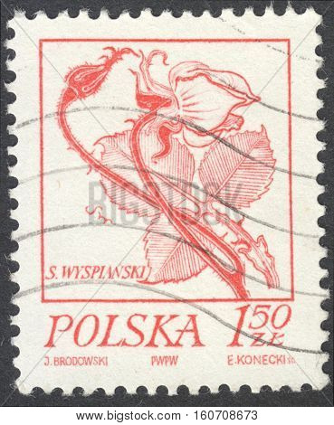MOSCOW RUSSIA - CIRCA NOVEMBER 2016: a post stamp printed in POLAND shows a rose the series 
