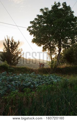 LA FABA SPAIN - AUGUST 09: Pilgrimns next to the cultivated garden on August 09 2016