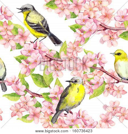 Spring flowers blossom and birds at branches with cherry, apple, sakura flowers. Floral seamless pattern. Watercolor