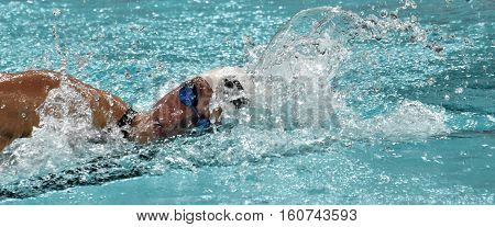 Hong Kong China - Oct 29 2016. Katinka HOSSZU (HUN) swimming in the Women's Freestyle 800m Final. FINA Swimming World Cup Victoria Park Swimming Pool.