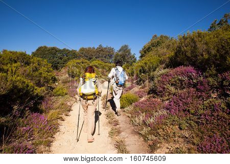 RABANAL SPAIN - AUGUST 05: Pilgrims along the way of St. James on August 05 2016