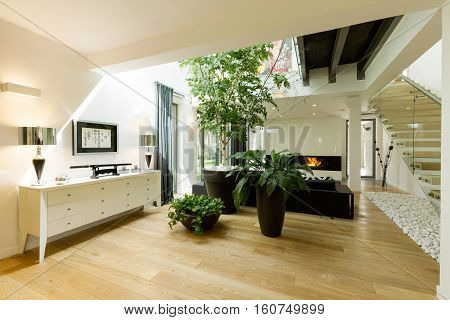 Spacious Staircase With Plants And Skylight