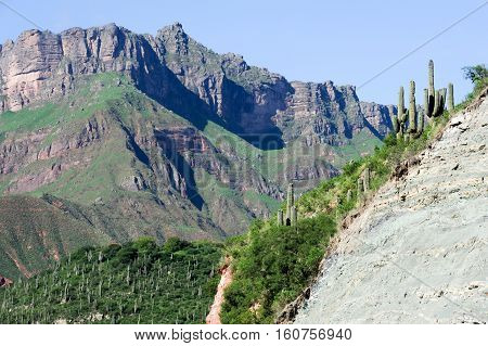 Escoipe Gorge (Quebrada de Escoipe) along famous Route 40 in its section through the northern province of Salta Argentina