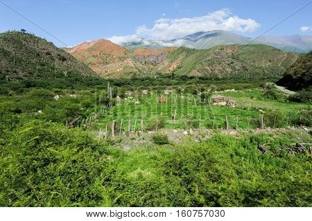 Escoipe Gorge (Quebrada de Escoipe) along famous Route 40 in its section through the northern province of Salta Argentina
