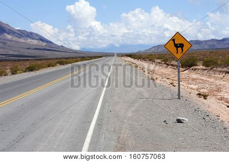 Road in the middle of Los Cardones national park on Argentina andes