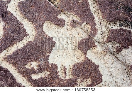 The petroglyphs of El Pintado on Quebrada de Humahuaca Argentina