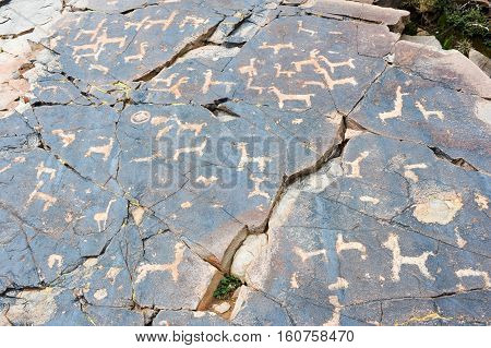 The petroglyphs of El Pintado on Quebrada de Humahuaca Argentina