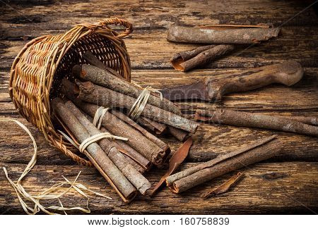 Cinnamomum cassia called Chinese cassia or Chinese cinnamon is an evergreen tree originating in southern China.