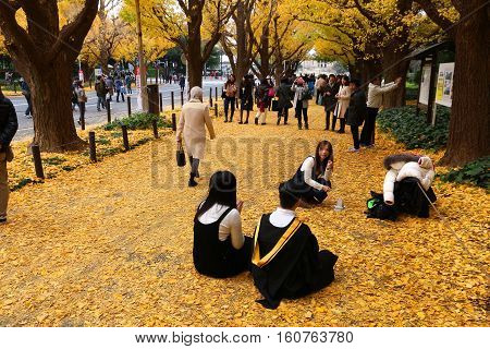 Tokyo Fall Colors