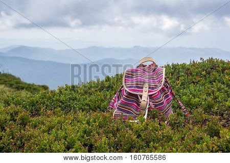 Bright young girl's backpack in the grass blueberries in the mountains. Vacation concept.