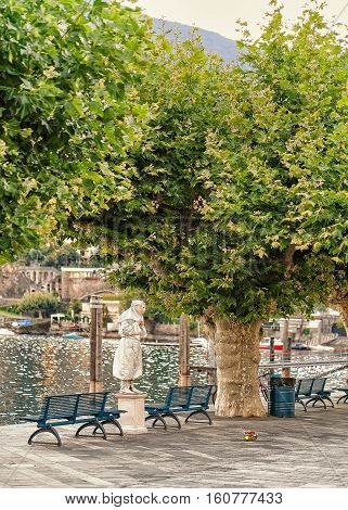 Mimic With Gesture Of Frozen Movement In Ascona Switzerland