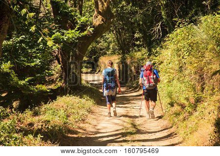 GALICIA SPAIN - AUGUST 10: Pilgrimns along the way of St. James on 10 2016