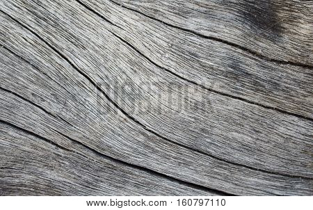 Wooden texture close up photo. White and grey wood background. White old tree near the sea. Curves and lines on rustic timber. Rough timber texture. Sea wood backdrop. Grey old tree blank table image