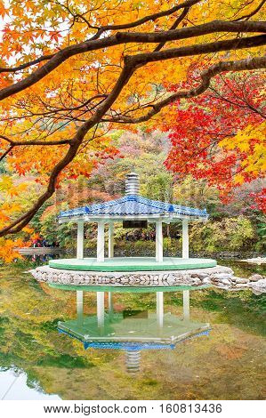 Naejangsan National Park in Autumn South Korea