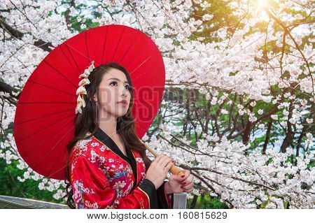 Asian woman wearing traditional japanese kimono with red umbrella and cherry blossom.