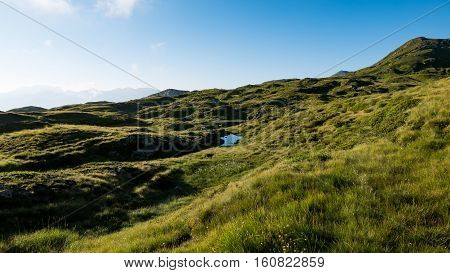 A small pond in a meadow in the Swiss mountains