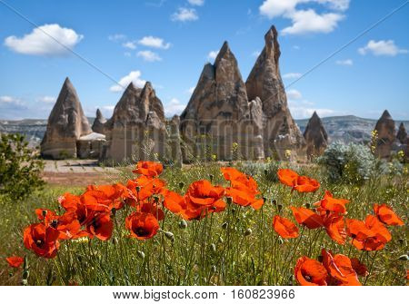 Rock formations and red flowers of Cappadocia in Central Anatolia, Turkey
