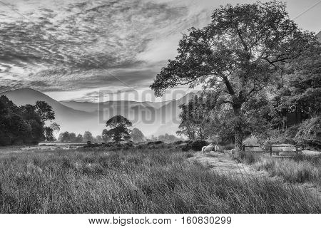 Beautiful Foggy Misty Black And White Landscape Autumn Sunrise Over Countryside Surrounding Crummock