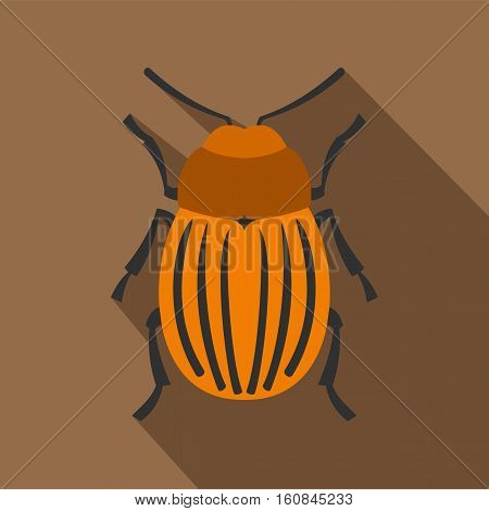 Colorado beetle icon. Flat illustration of colorado beetle vector icon for web
