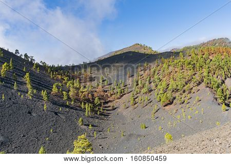 Shot of the famous hiking path "Ruta de los vulcanos" taken in the south of la Palma nearby Los Canarios.