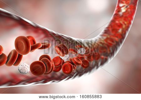 Blood vessel with flowing blood cells, 3D illustration