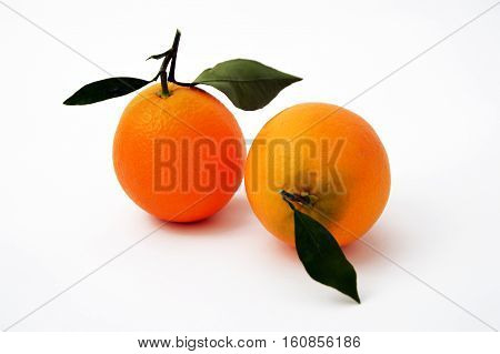 The best and highest quality high-resolution bigstock orange paintings for advertising agencies and design companies