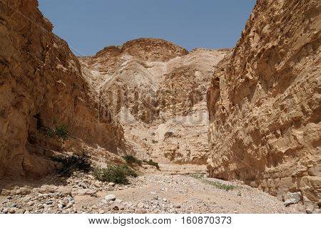 Desert canyon Nachal Ogg near the Dead Sea in Israel