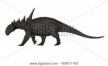Sauropelta dinosaur walking isolated in white background - 3D render