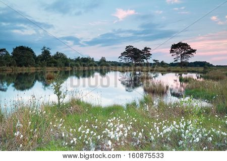 spring evening on wild lake Drenthe Netherlands