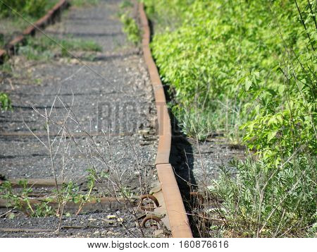 The plot is an old abandoned railway.