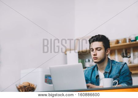 Young Serious Man With Beard Working On Laptop