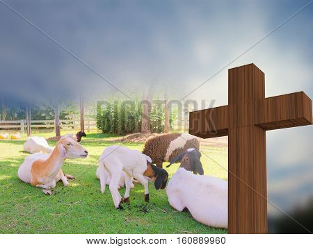 Crosss with a group of sheeps christain concept lamb of god 3d rendering