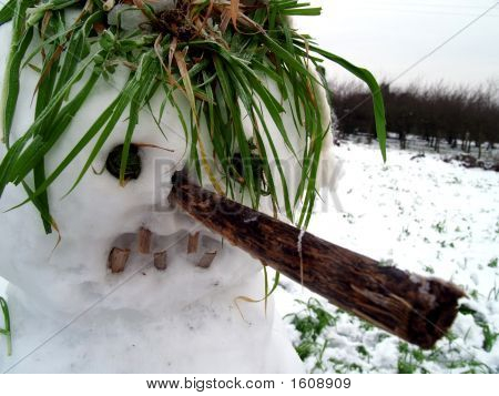 muñeco de nieve de Freak calentamiento y fusión 