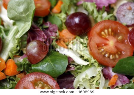 Gros plan de salade fraîche