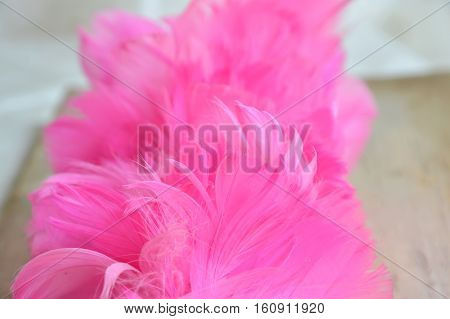 pink wood dust chicken feather texture and background