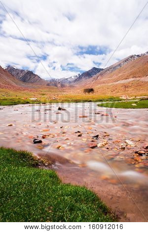 Yak with natural landscape in Leh Ladakh Jammu and Kashmir India