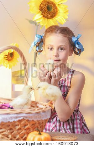 young girl holding a cock on a green background