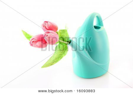 Bailer med blomst isoleret på hvid