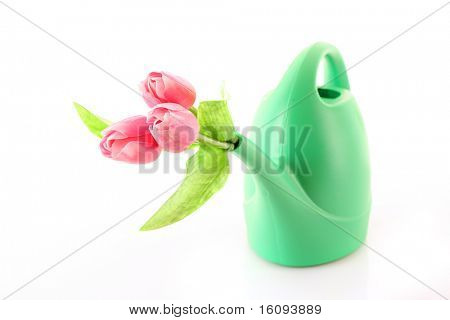 Bailer med blomst isoleret på hvid