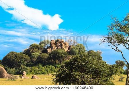 Stones and grass and sky. Serengeti. Tanzania, Africa