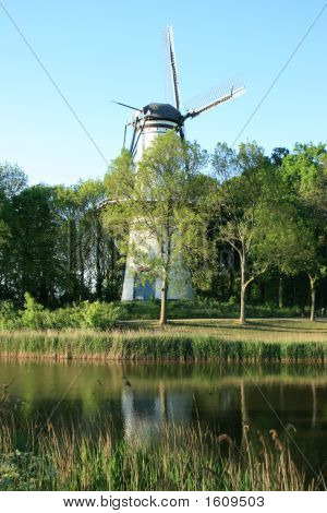 Hollandske landskab