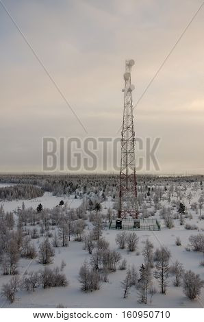 Telecommunications tower and satellite dish telecom network on evening sky with sundown and winter north forest