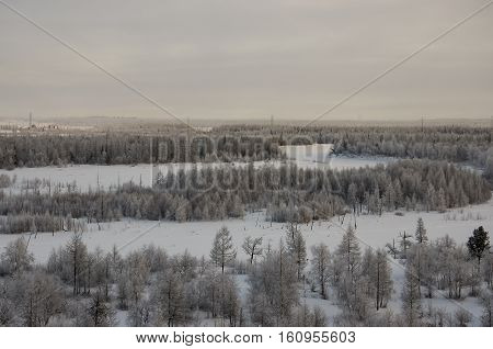 Winter landskape with forest in snow in the evening sunset. North