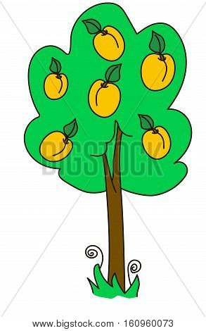 apricot, tree, wood, green, yellow, nature, fruit, garden, fruiter