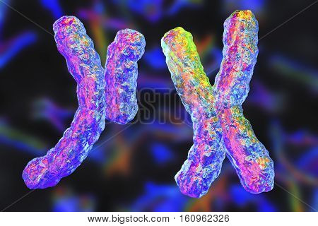 X and Y human chromosomes on colorful background, 3D illustration