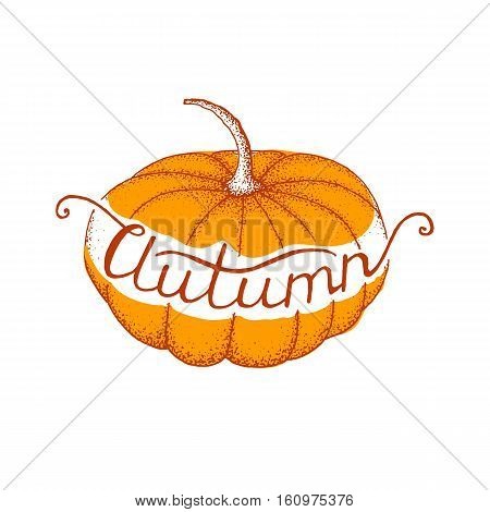 Pumpkin season. Autumn lettering. Different varieties of pumpkins. Sketches of orange pumpkins.