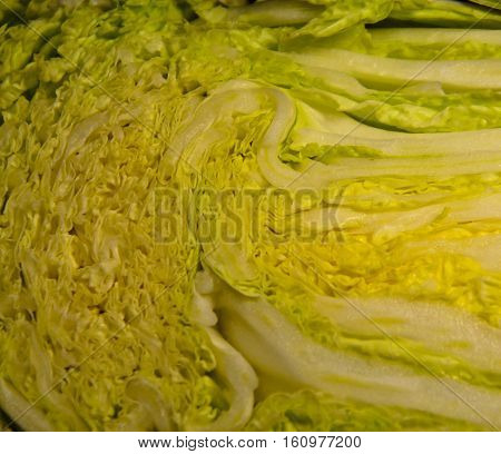 Texture of the half sliced chinese cabbage