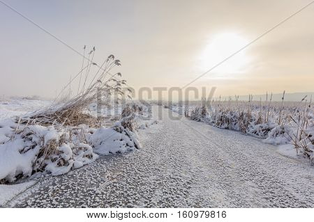 sunrise in winter. Location: Comana Natural Park Romania.
