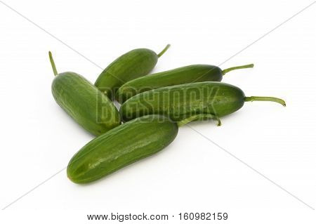 Pictures of fresh healthy silor salad on white and copy space stock photography