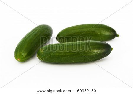 Pictures of fresh healthy silor salad on white and copy space stock photography